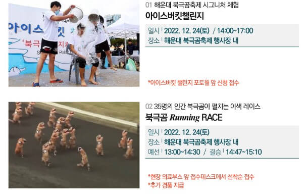 해운대 북극곰 축제는 얼어붙은 북극해에서 유유히 헤엄치는 북극곰처럼 한겨울 추운 날씨에도 바닷물에 뛰어들어 수영을 즐길 수 있는 축제입니다.