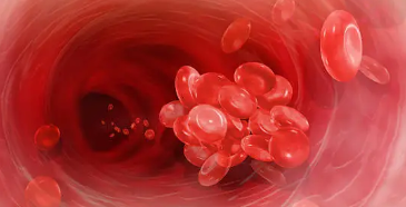 혈전 원인&amp;#44; 증상&amp;#44; 예방법 총 정리 (2025 ver.)