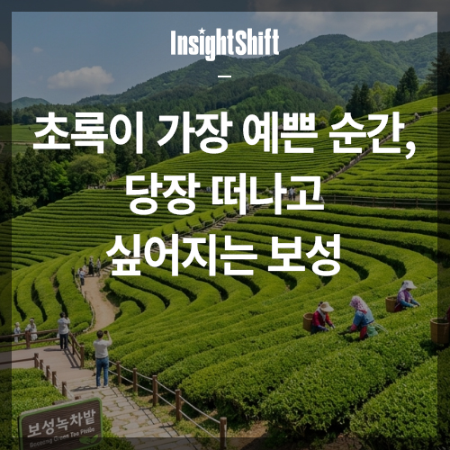 보성