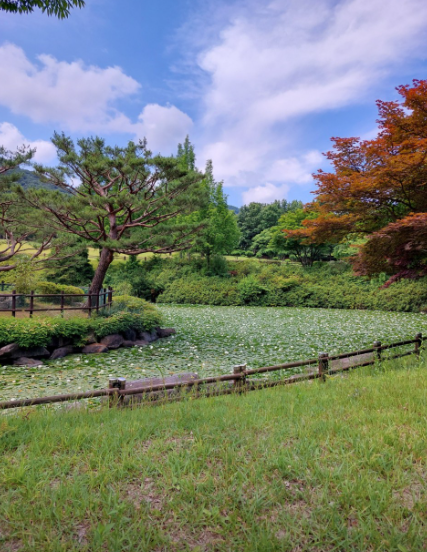 금강자연휴양림5