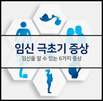 임신 극초기증상