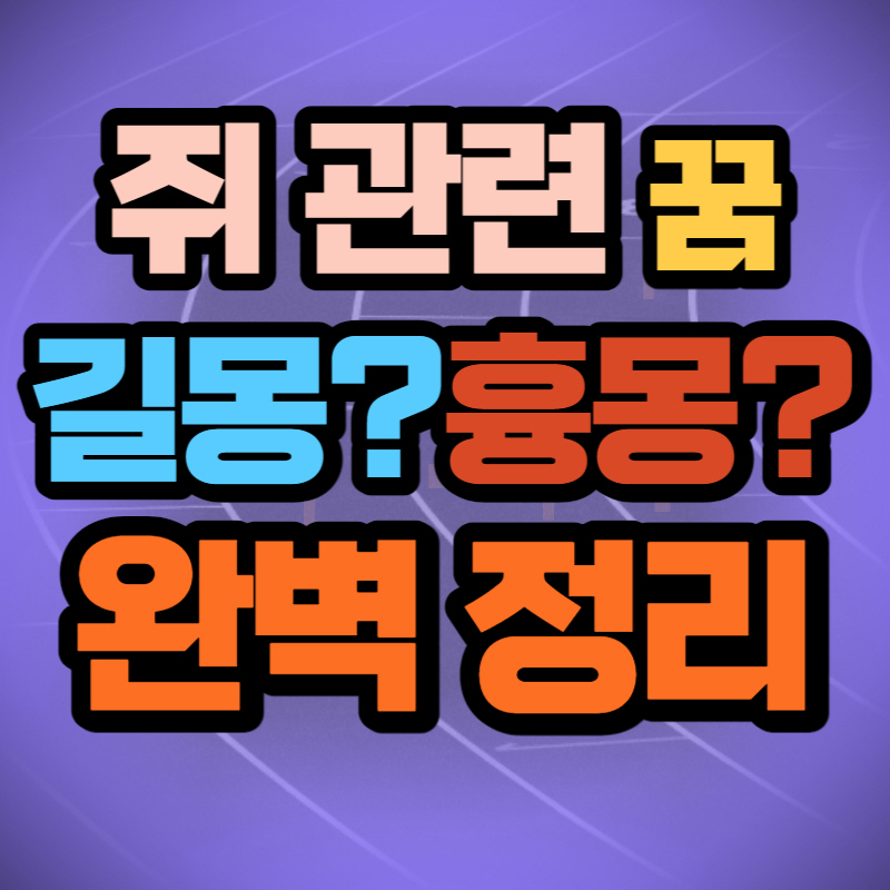 쥐 꿈 해몽 (1)