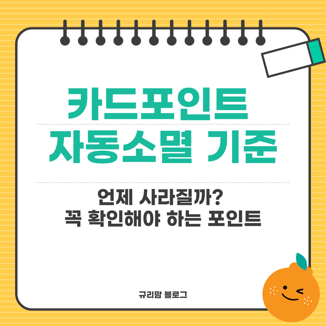 카드포인트 자동소멸 기준 언제 사라질까? 꼭 확인해야 하는 포인트