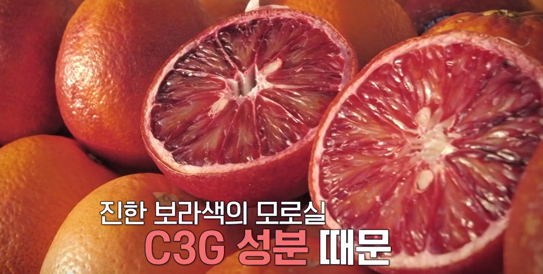 모로실 효능