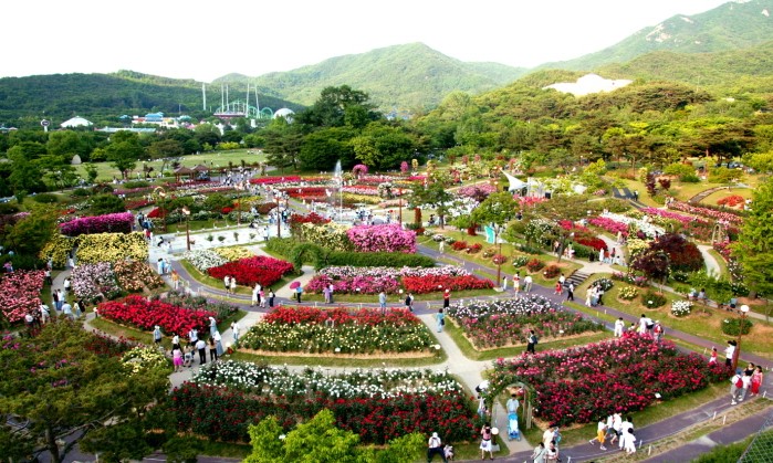 서울대공원에서 열린 장미꽃축제 현장