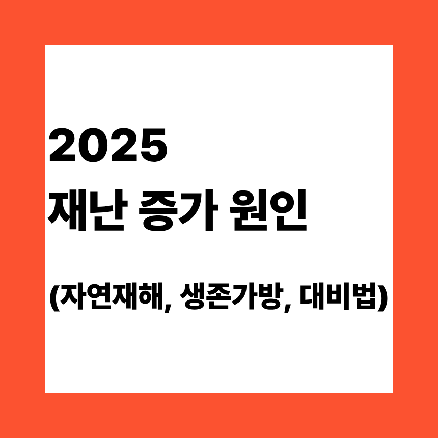 2025 재난 증가 원인 (자연재해, 생존가방, 대비법)