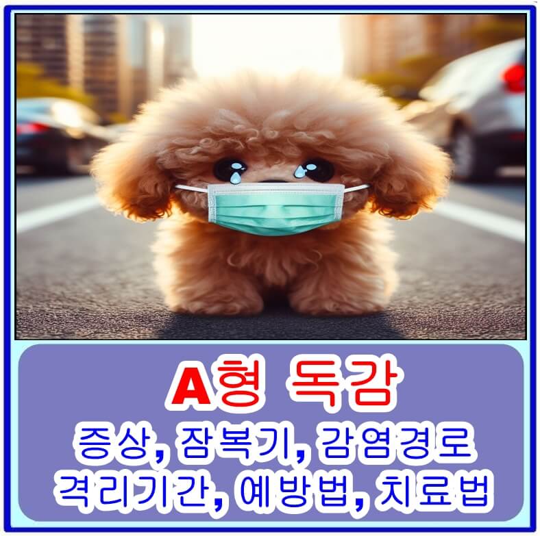 A형 독감