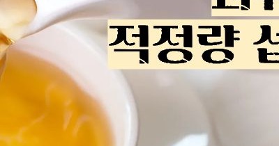 돼지감자차 효능과 부작용