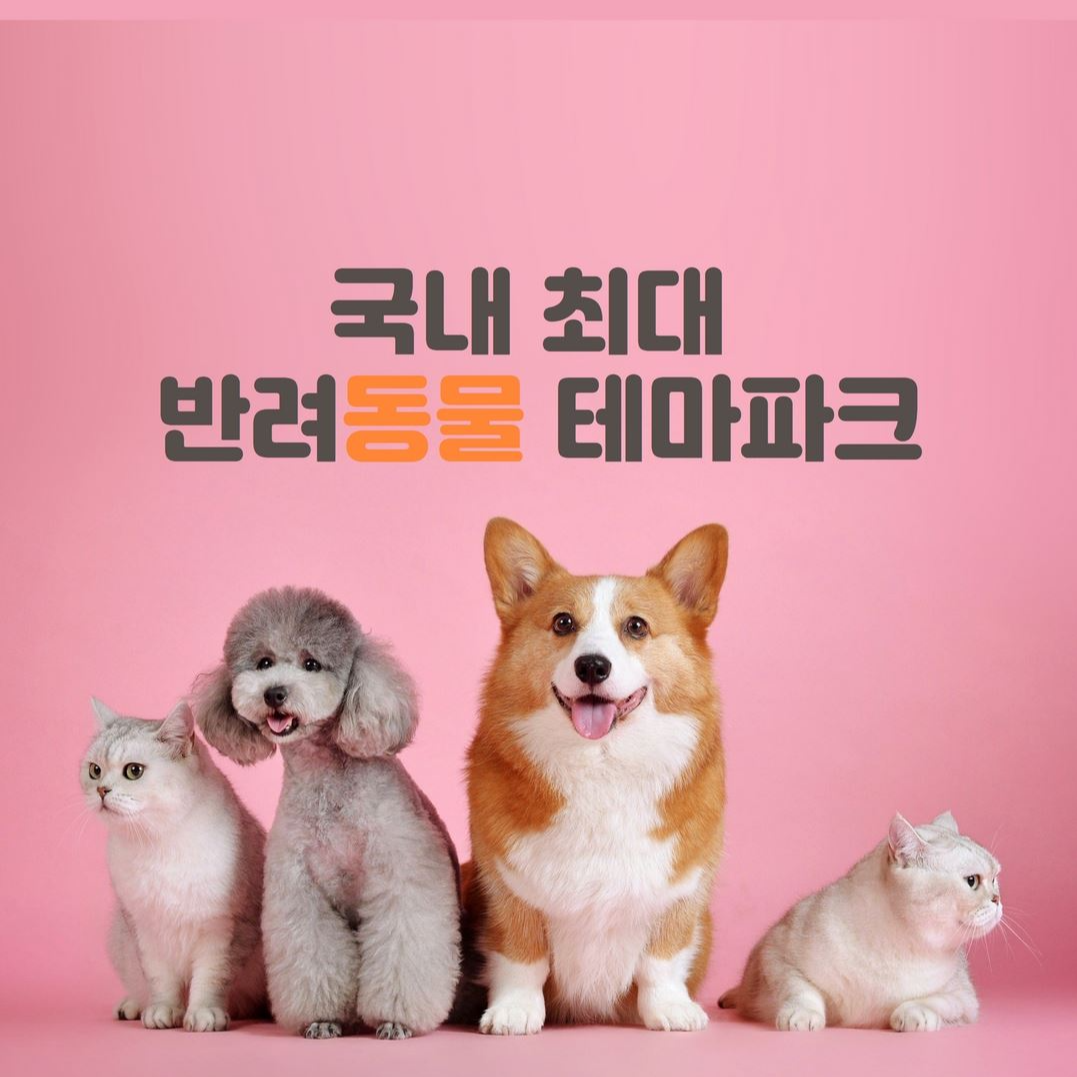 반려동물 테마파크