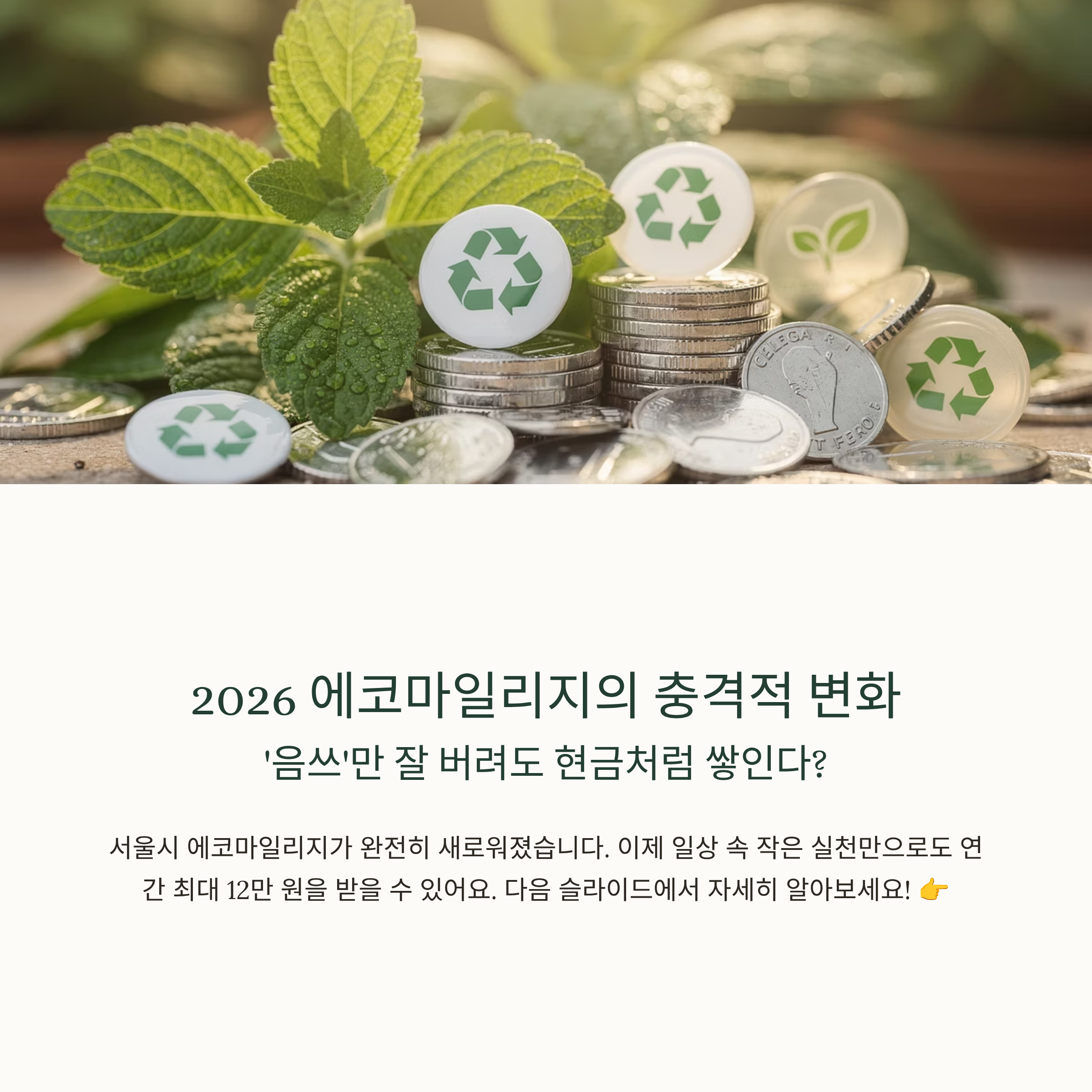 2026 에코마일리지의 충격적 변화, '음쓰'만 잘 버려도 현금처럼 쌓인다?
