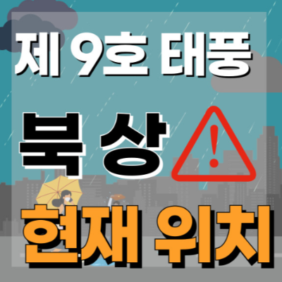 제 9호 태풍 종다리 현재위치 경로 및 위험도 - 태풍대비 대책
