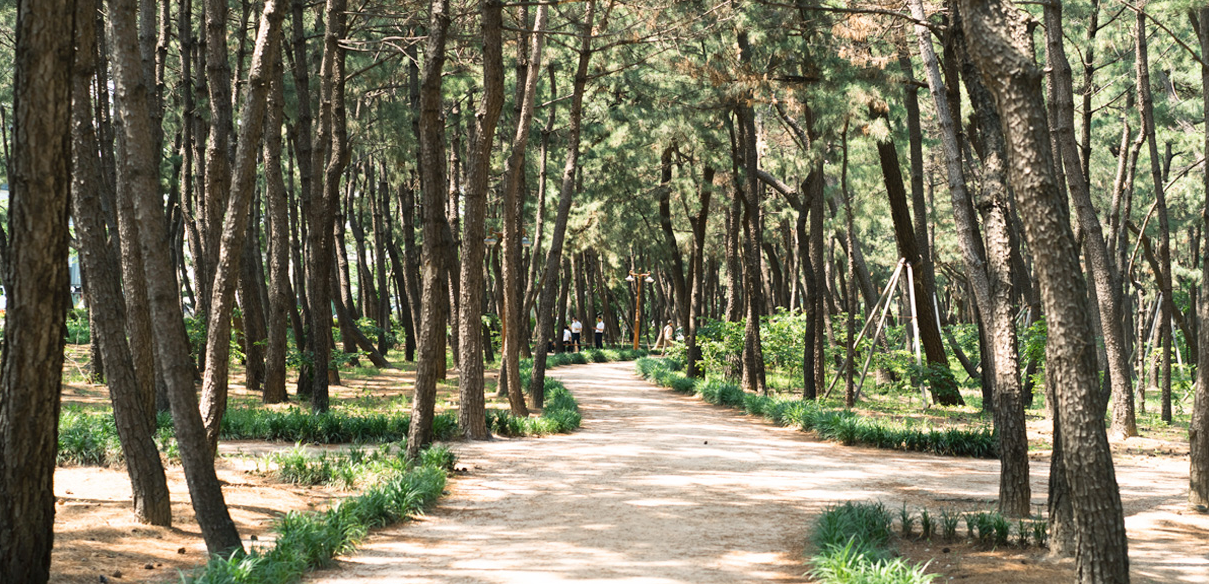 포항 가볼만한곳 베스트10