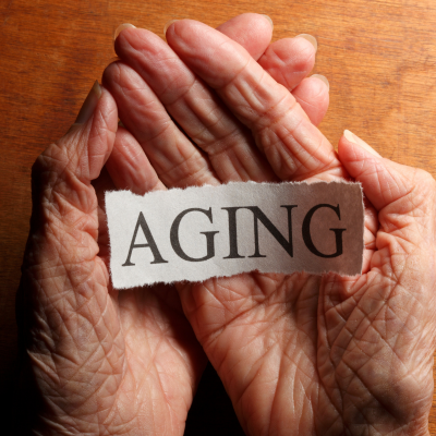 노화 예방 영양제와 음식