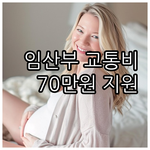 임산부 교통비 지원 2025, 서울시..