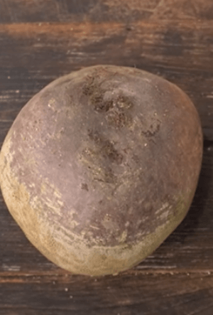 비트_하루_섭취량_먹는방법