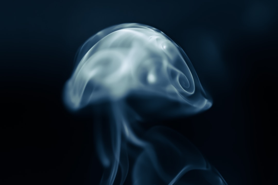Frontal lobe