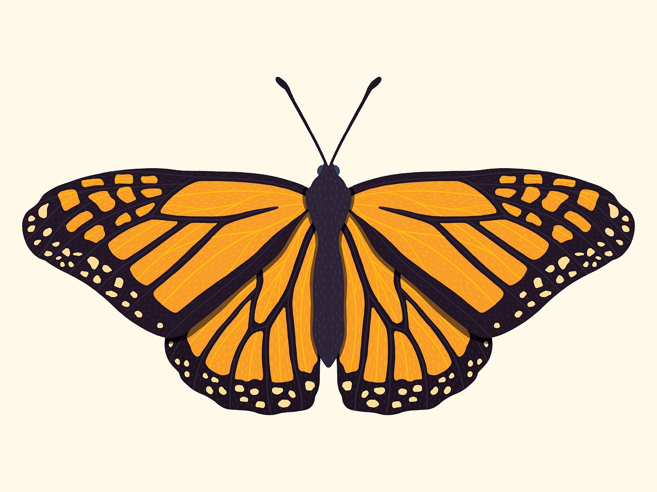 세르비아 니시 디지털노마드 후기 – 유럽 최저 물가 도시