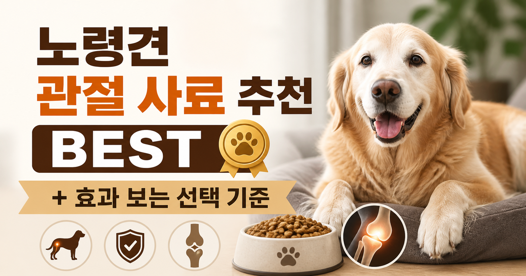 노령견 관절 사료
