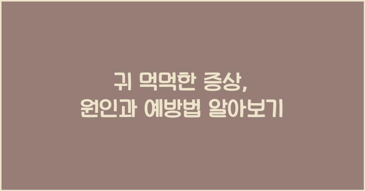 귀 먹먹한 증상