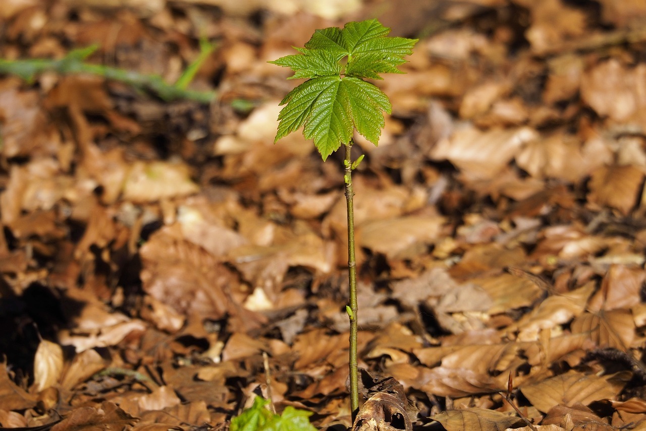 국립 운장산자연휴양림 예약