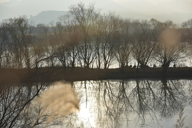 창원시의 먹거리, 볼거리 사진