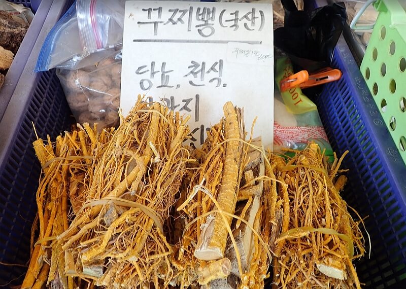 약초가게-진열대-위의-꾸지뽕-뿌리
