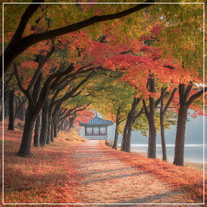 2025년 단풍 절정 시기 - 강원·경상권 단풍 명소(도심 산책형) 가상 이미지