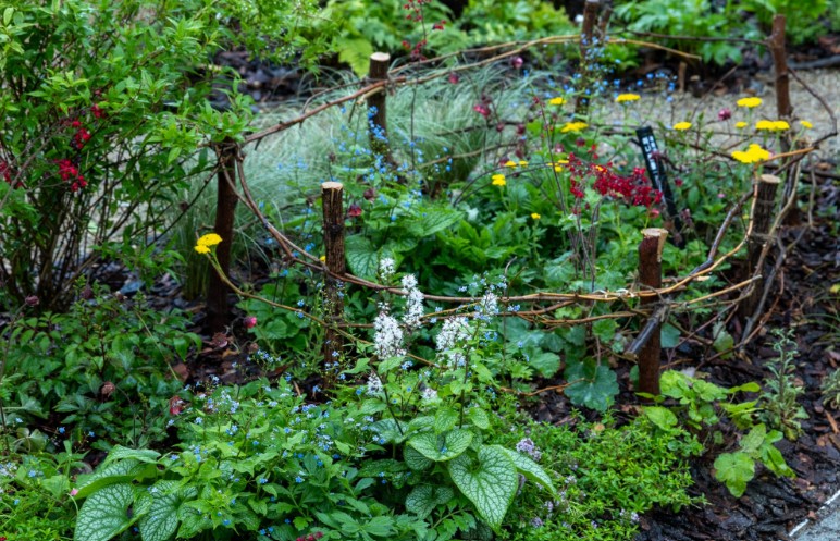 2025 서울국제정원박람회 정원