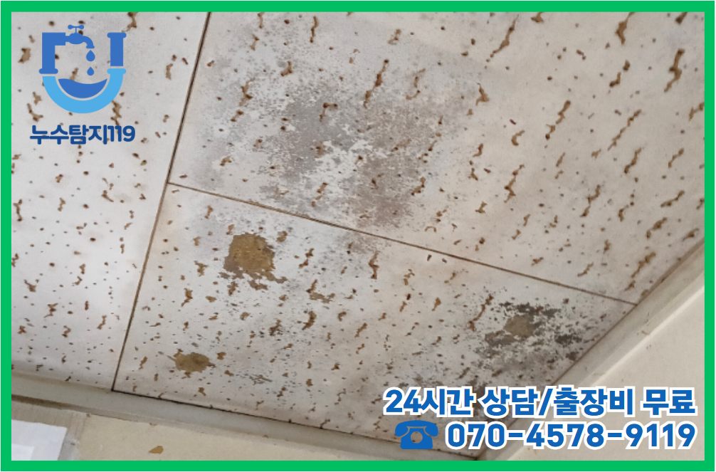 소정면 아파트와 주택2