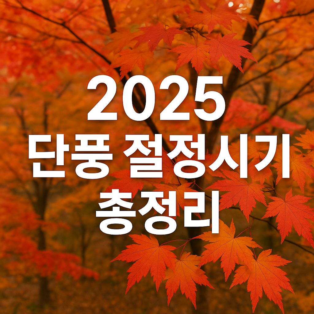 2025년 단풍 절정시기를 지역별로 한눈에 정리했습니다. 서울·강원·전국 단풍 명소와 절정 시기를 확인하고 가을 여행을 준비하세요.