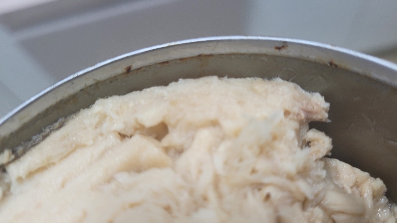 코스트코 커클랜드 알바코어 참치