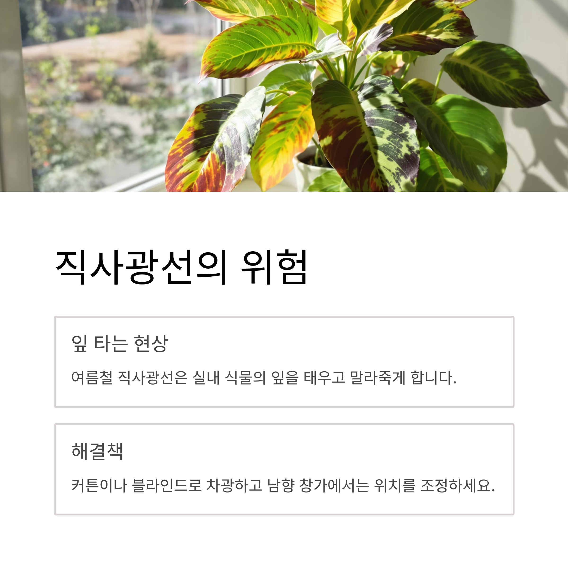직사광선의 위험