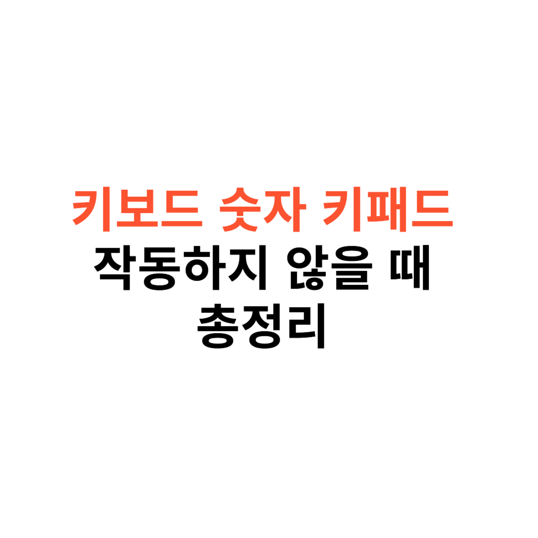 키보드 숫자 키패드 오류