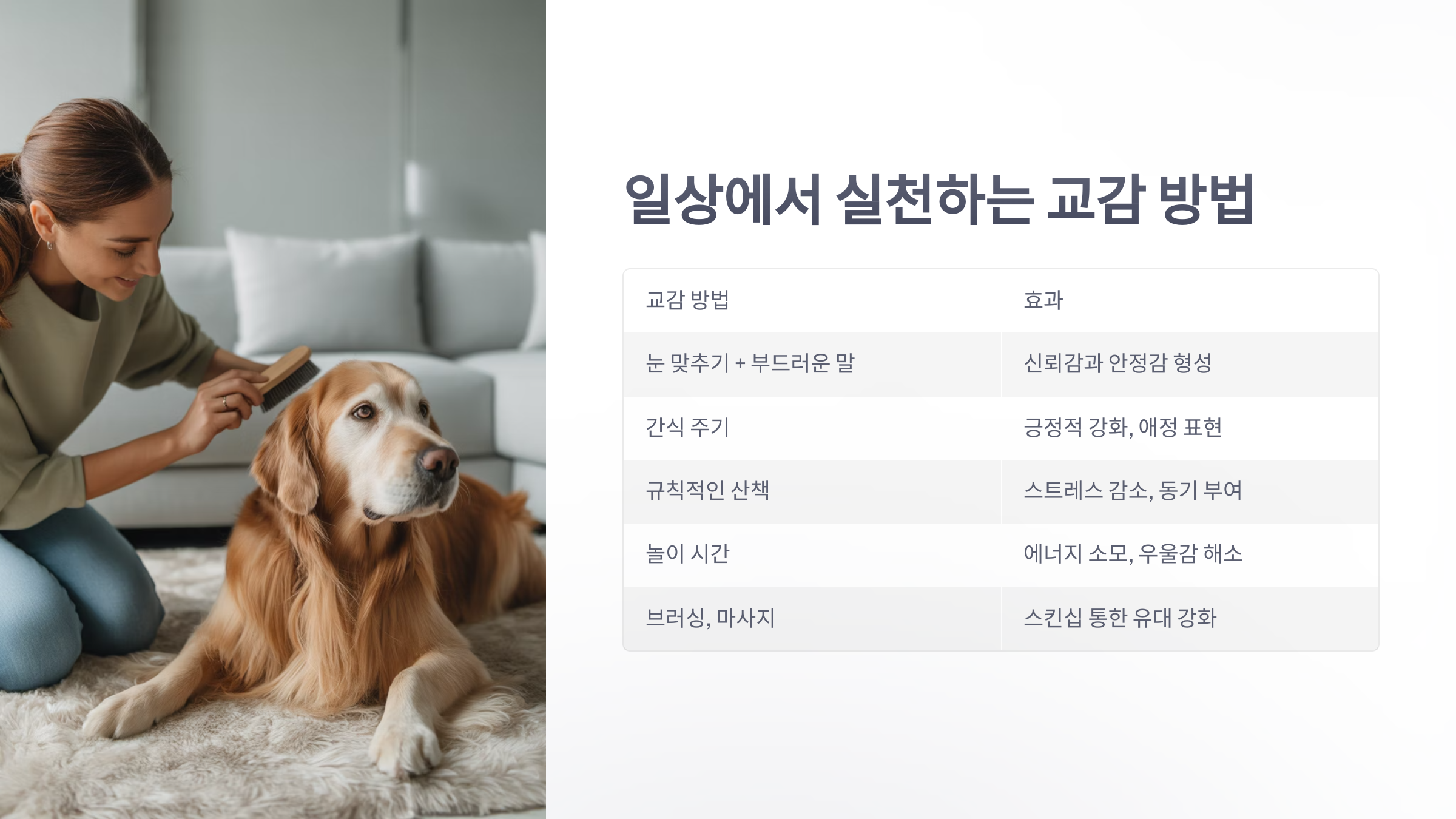 참조-반려동물과-교감-3