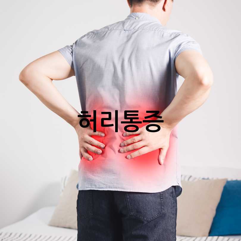 신장에좋은영양제