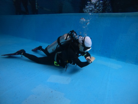 수영장에서 핀피봇 하는 모습