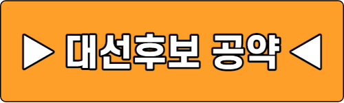 대선후보-공약보기