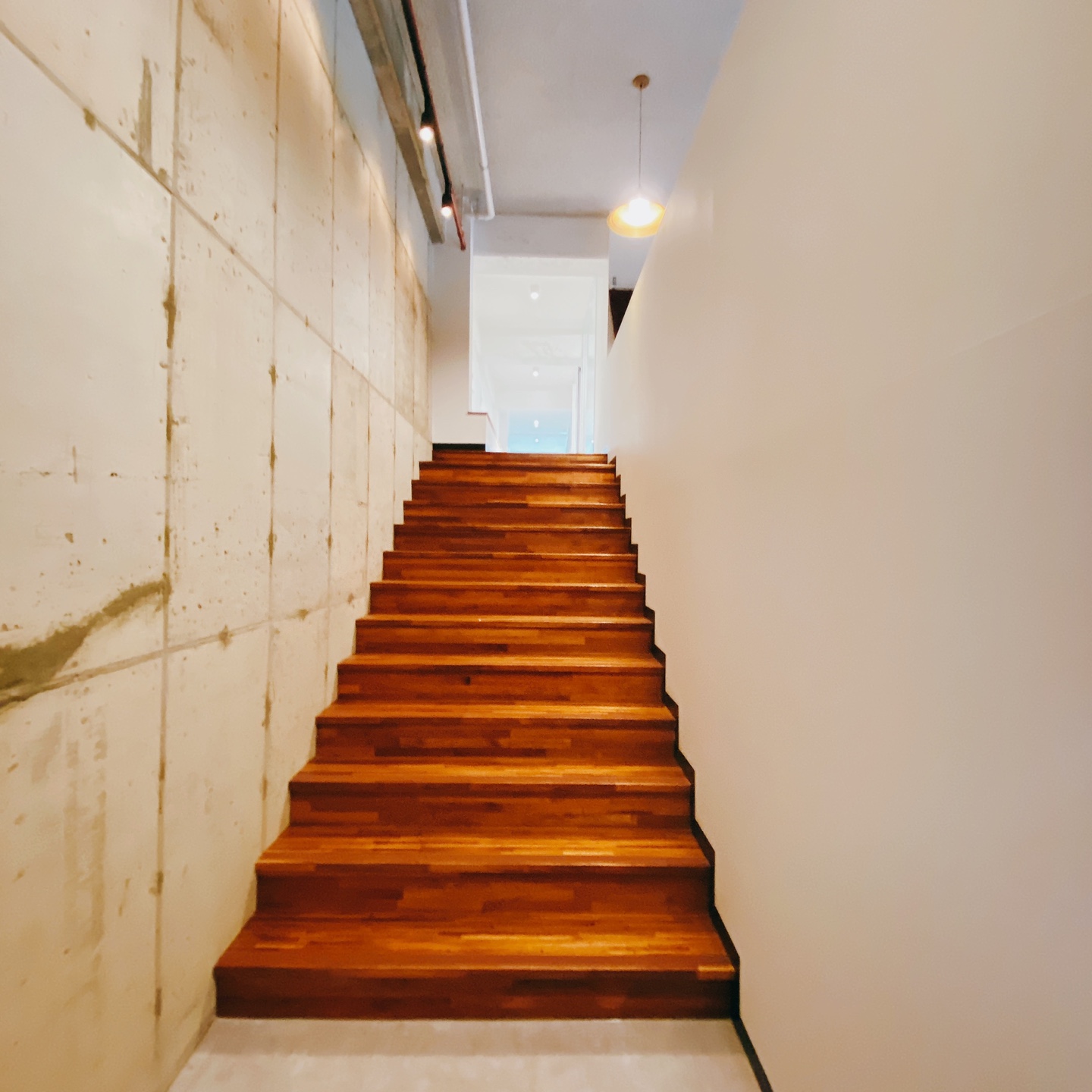 제주 애월 환혼 무수천계곡 트리하우스 웃뜨리 카페