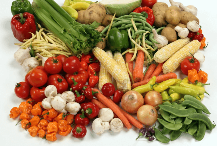 2026 농식품 바우처