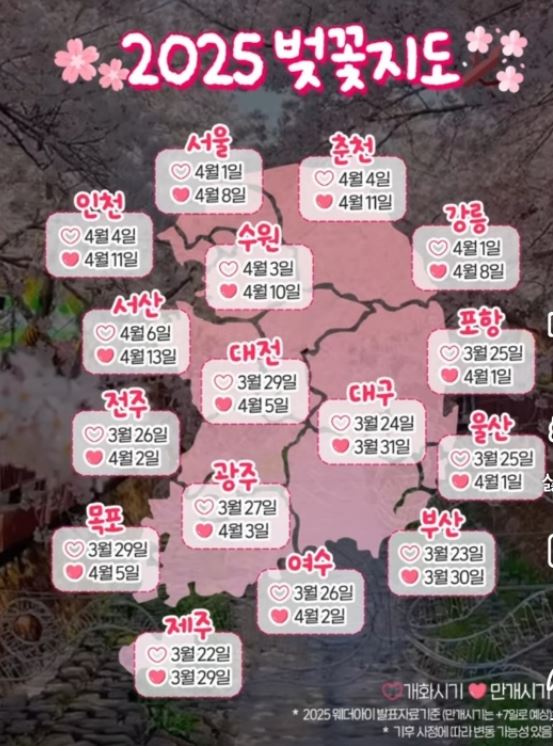 2025년 벚꽃지도