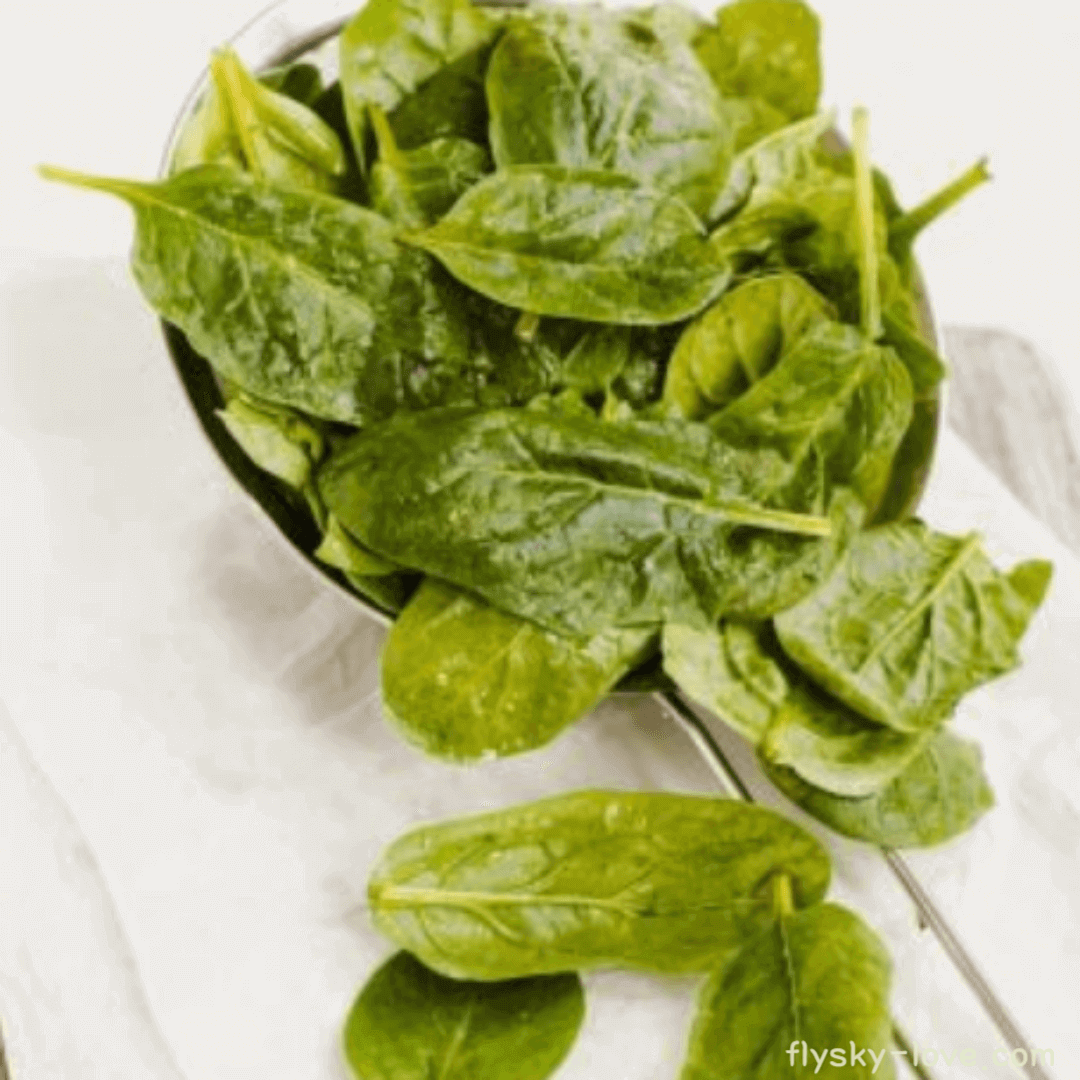 말라바 시금치 (Malaba Spinach)