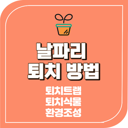 날파리 퇴치법