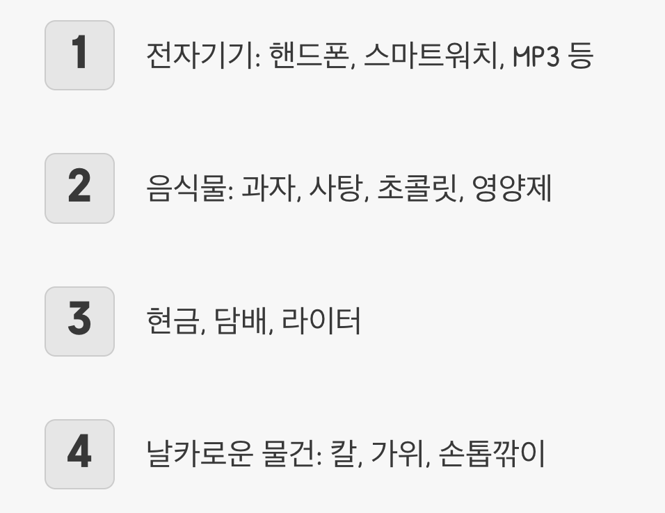 '이것' 챙기면 바로 압수! (반입 금지 물품)