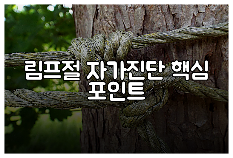 림프절 자가진단 핵심 포인트