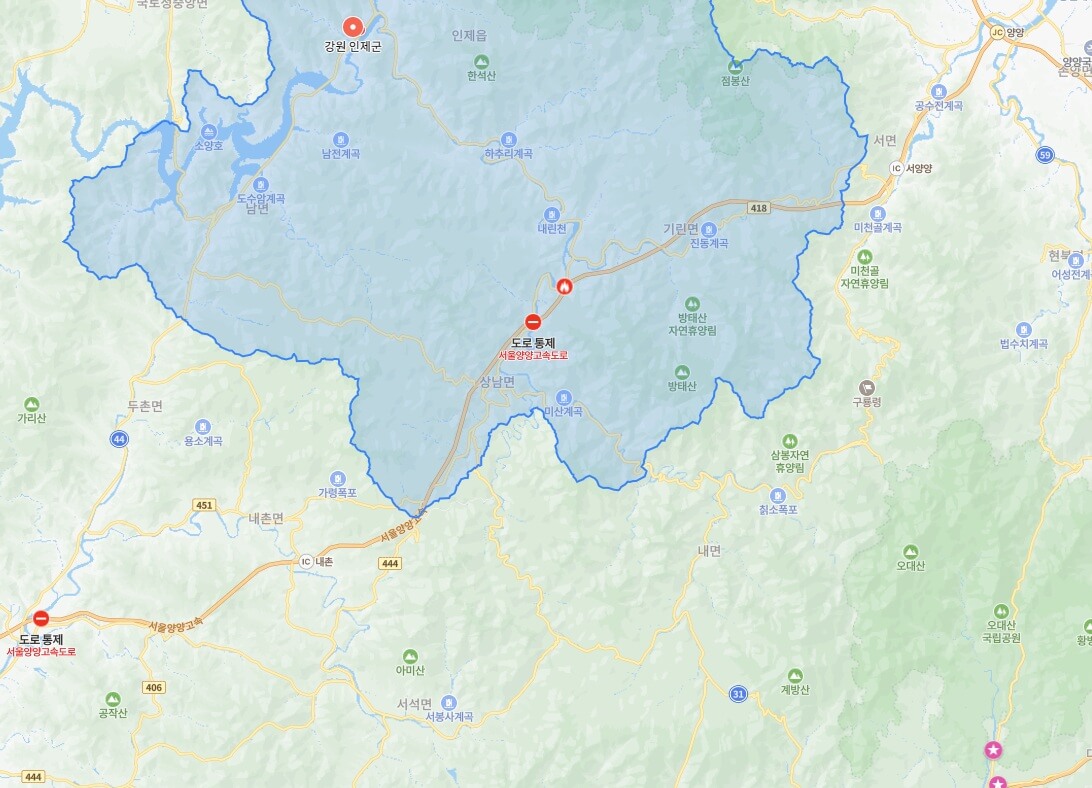 인제 산불 피해 현황
