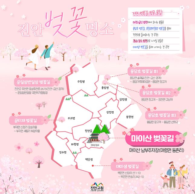 진안-마이산-벚꽃축제