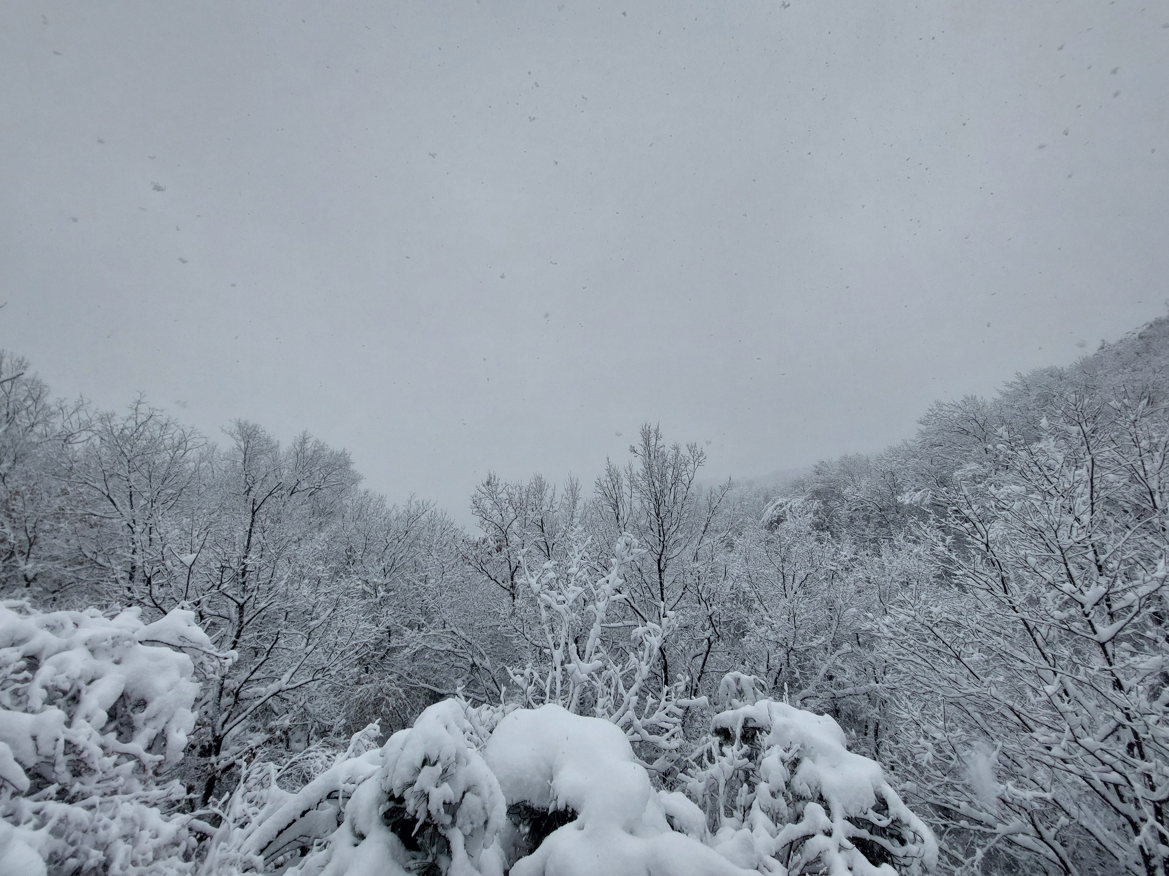백련산안산