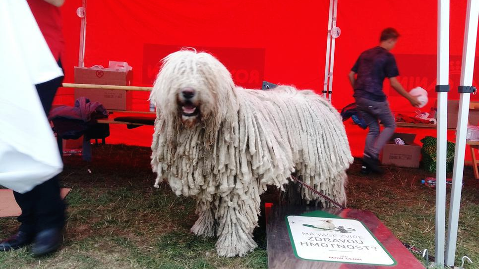 프라하 한인민박