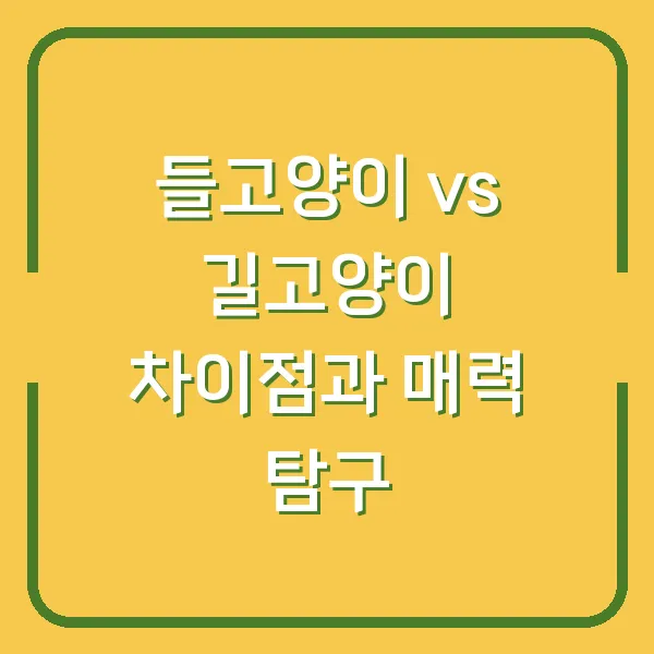 들고양이 vs 길고양이 차이점과 매력 탐구