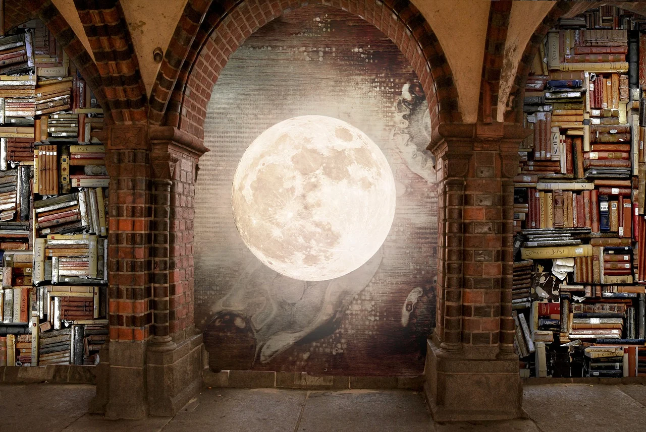 구글 코어 업데이트와 SEO 대응 전략